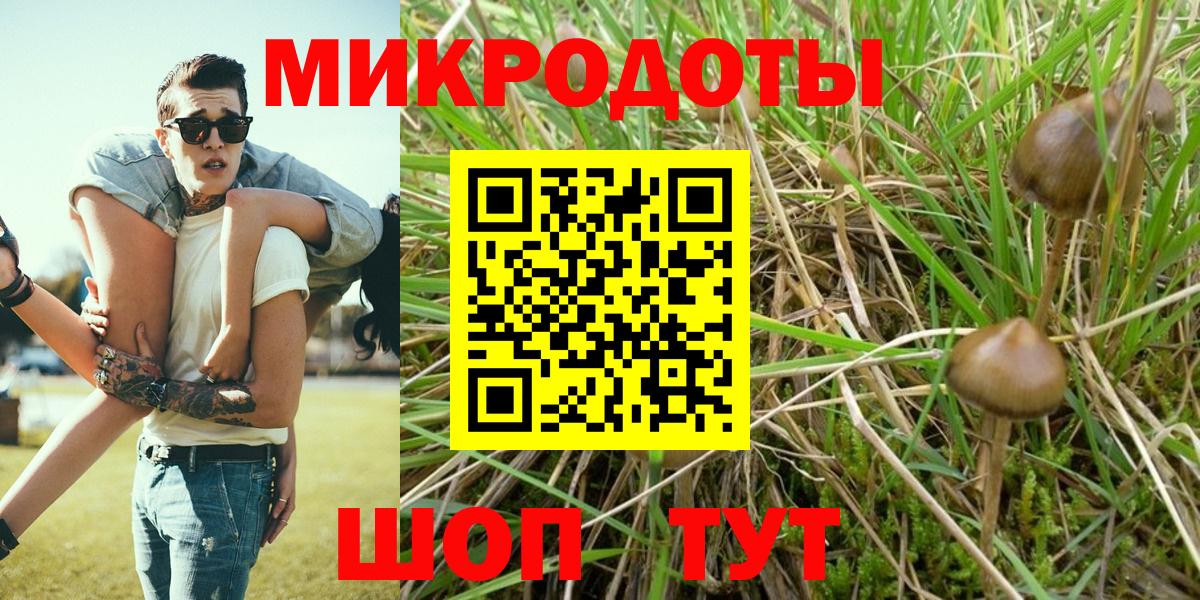Псилоцибиновые грибы мухоморы  Псилоцибиновые грибы прущие грибы  Серпухов  Вход с VPN 